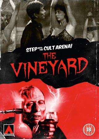the-vineyard