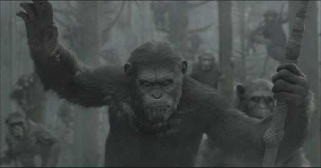 Dawn of the Planet of the apes