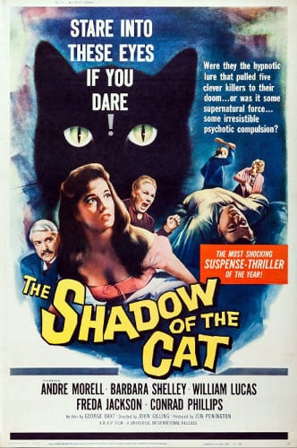 2_shadow-of-the-cat-40x60-1961