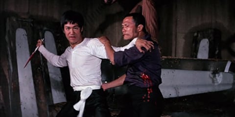 Bruce lee ice factory movie online