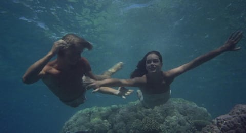 the blue lagoon 1980