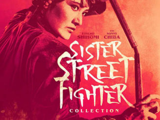 sister street fighter