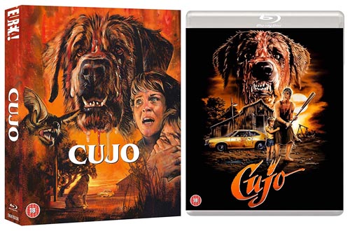 what breed of dog is cujo