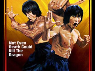 Enter The Clones of Bruce Lee