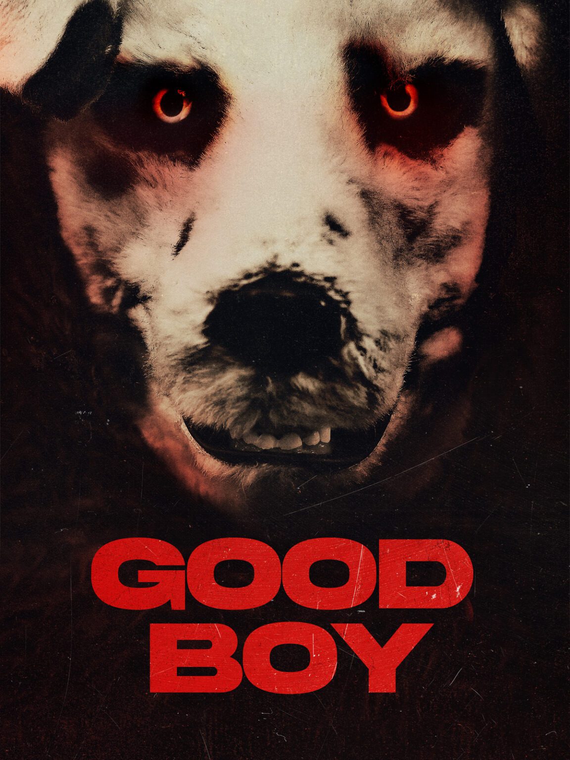 [FrightFest, 2023] Good Boy | Horror Cult Films