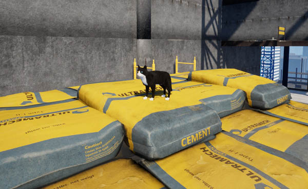 Only Way Is Down kitty sitting on cement