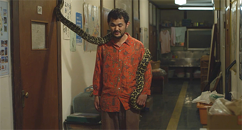 Tateto Serizawa in Fukuchan
